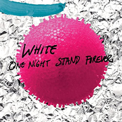 One Night Stand Forever