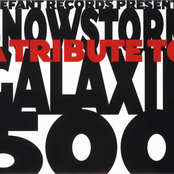 Snowstorm: A Tribute To Galaxie 500
