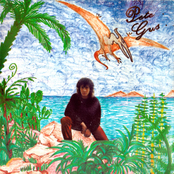 Wonder 7"