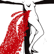 The Distillers: Coral Fang