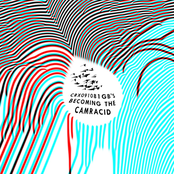 becoming the camracid