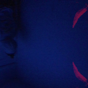 love song for a bulldog