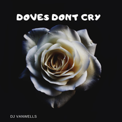 Doves Don't Cry