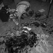 ALY Y LOS PINKIS EN DISFORIA (En vivo)