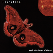 Delicate Flame Of Desire by Karnataka