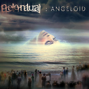 Land Of Confusion by Preternatural