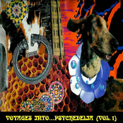 Voyages Into... Psychedelia Vol. 1