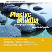 String Vibe by Plastyc Buddha