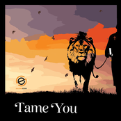 Tame You