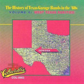 The History Of Texas Garage Bands In The 60's Vol 4