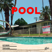 Pool (feat. TopGunn) - Single