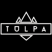 Tülpa