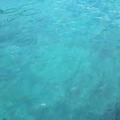 Melewai