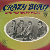 The Spark Plugs