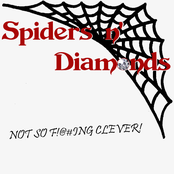 Not So F!@#ing Clever!