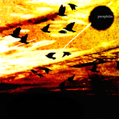 rough demo (summer 2007)