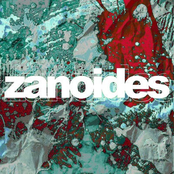 Zanoides