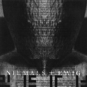 Niemals Und Ewig