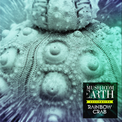 Mushroom Earth