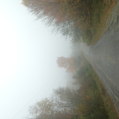 Selected Works 2016-2017