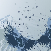 Crusaders on Something