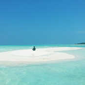 Stop Searching and Be