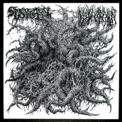 Spectral Voice / Blood Incantation