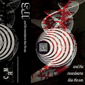 And The Moonbeams Kiss The Sea