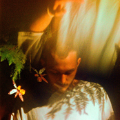 Honey Berry Butterfly - EP