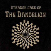 All Seeing Eye Syndrome by The Dandelion