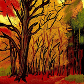 The Promise You Made