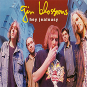 Hey Jealousy