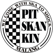 pitskankin