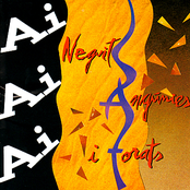 Neguits, angunies i forats