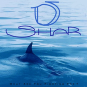 What you are fighting for