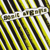 Hiding From You by Sonic Avenues