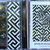 Return to the Palm Oasis