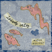 Major Arcana by Speedy Ortiz