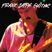 Do Not Try This At Home by Frank Zappa