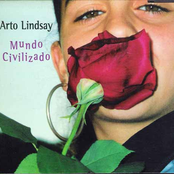 Pleasure by Arto Lindsay