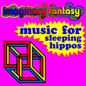 Music For Sleeping Hippos