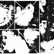 Des Chiens En Guise De Bras