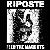 FEED THE MAGGOTS