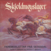 Skjoldmøyslaget