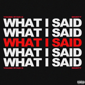 What I Said (feat. Lil Toy Yoda) - Single