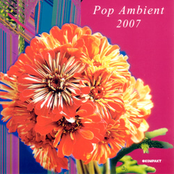 V.A. - Pop Ambient 2007
