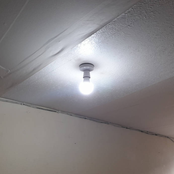 life is boring, let’s fly kites