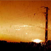 A Reassuring Voice On The Television