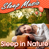 Sleep in Nature (Nature Sounds)