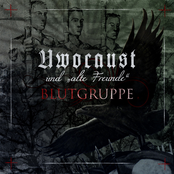 Blutgruppe